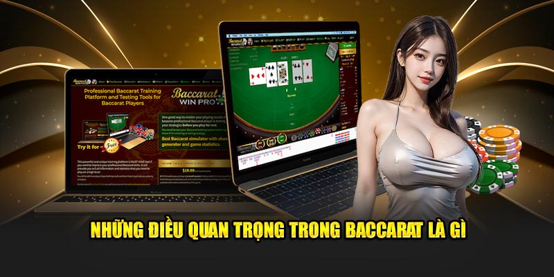 Những điều quan trọng trong Baccarat là gì